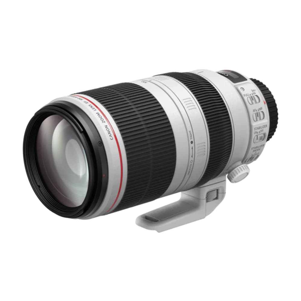 Canon EF 100-400mm f/4.5-5.6L IS II USM Lens